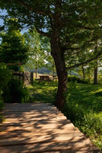 Café gîte du lac servières restaurant Orcival espace extérieur